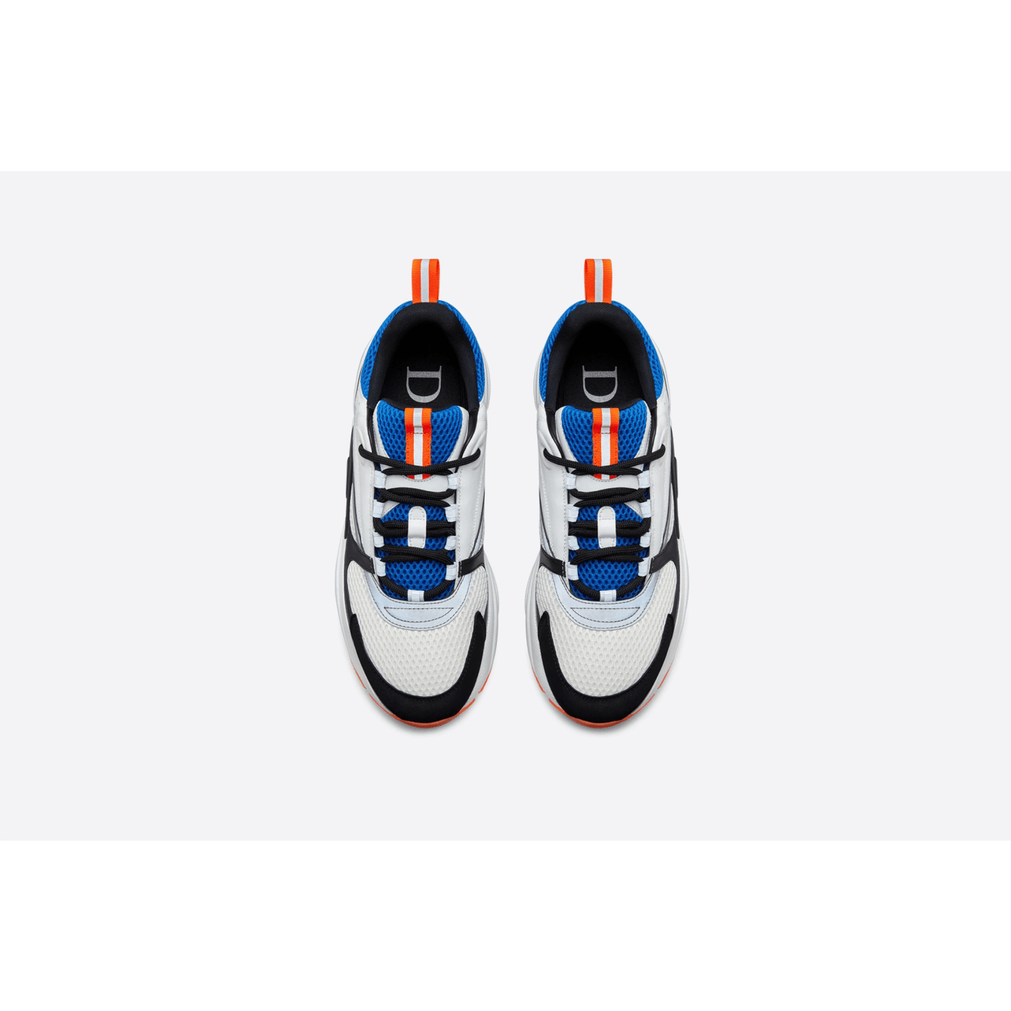 Dior B22