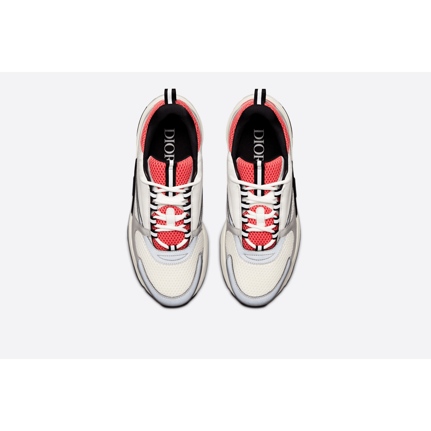 Dior B22