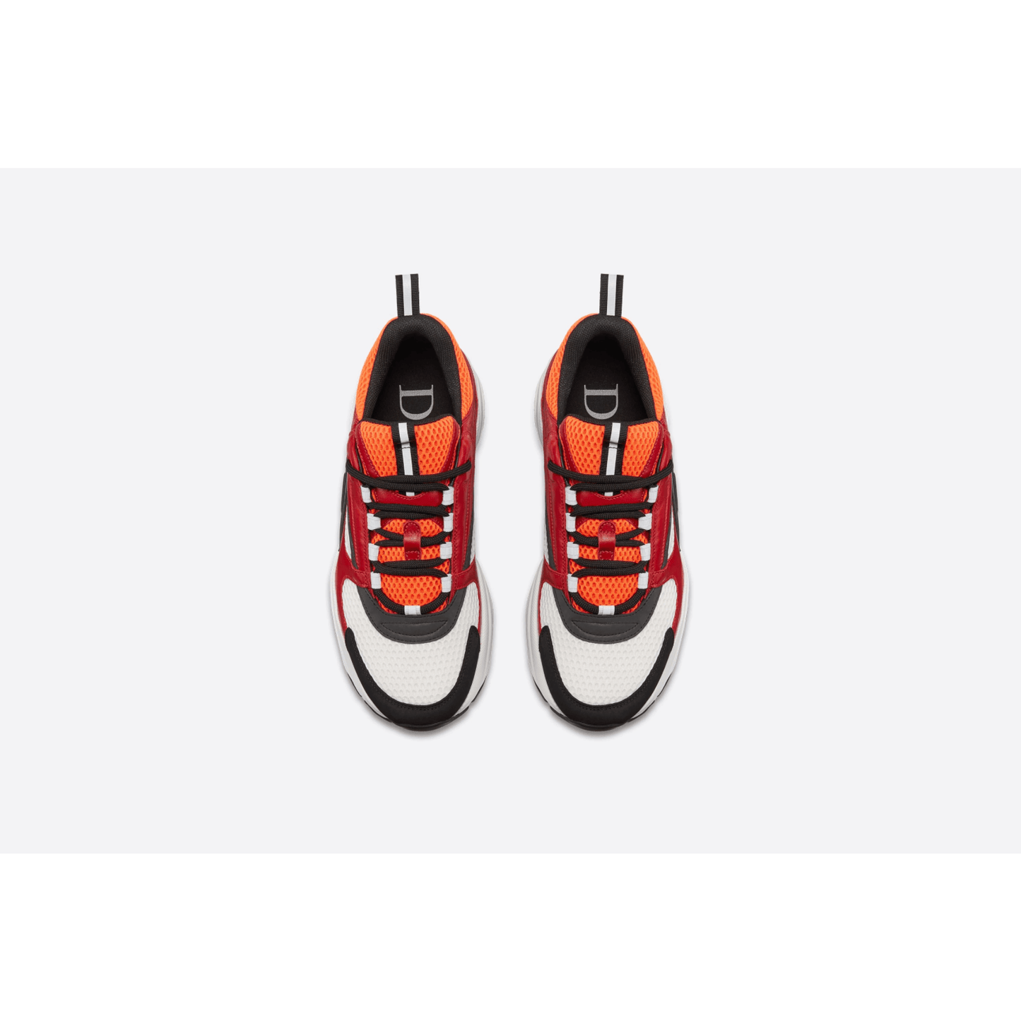 Dior B22