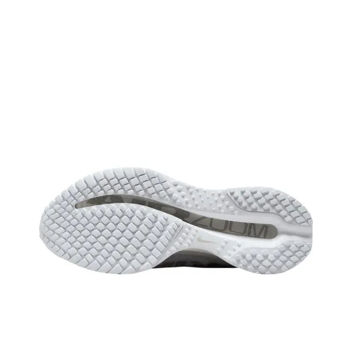 Nike Air Zoom Pegasus Premium "White Metallic Silver"